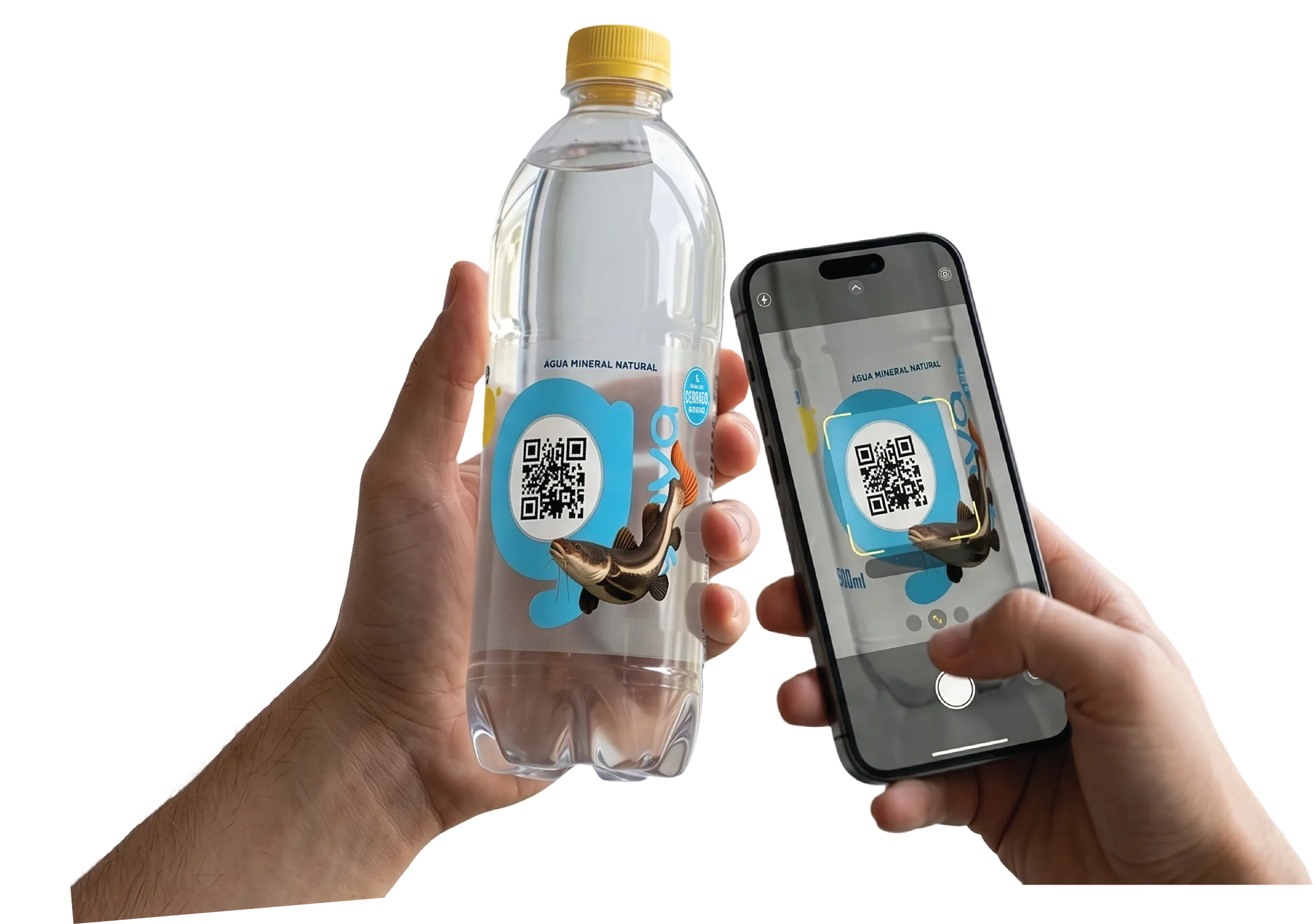 Mão segurando um celular que escaneia o QR Code do rótulo da Goyá