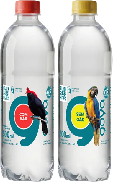 Duas garrafas Goyá 500ml da série Aves da Reserva Goyá, com gás e sem gás