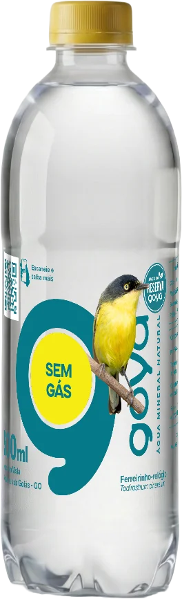 Garrafa Goyá 500ml, rótulo Ferreirinho-relógio