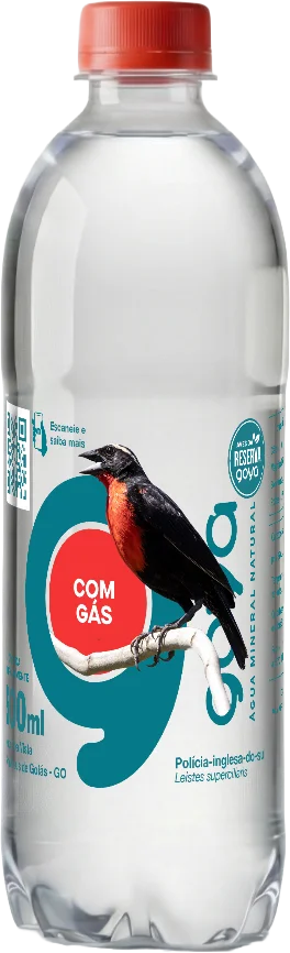 Garrafa Goyá 500ml, rótulo Polícia-inglesa-do-sul