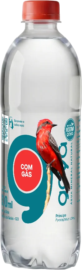 Garrafa Goyá 500ml, rótulo Príncipe