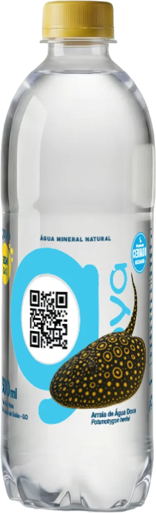 Garrafa Goyá 500ml, rótulo Arraia de água doce