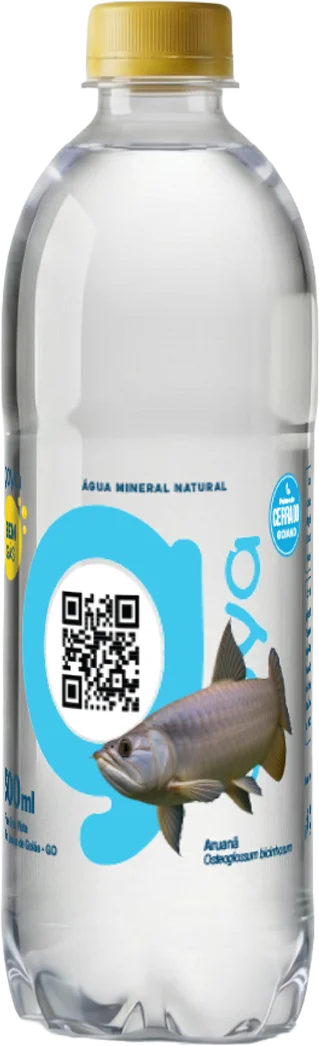 Garrafa Goyá 500ml, rótulo Aruanã
