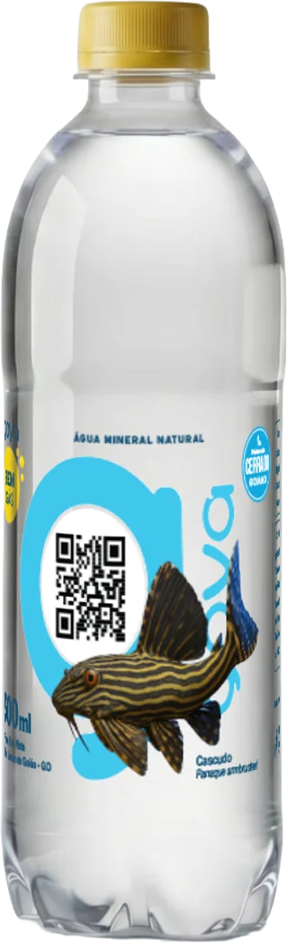 Garrafa Goyá 500ml, rótulo Cascudo