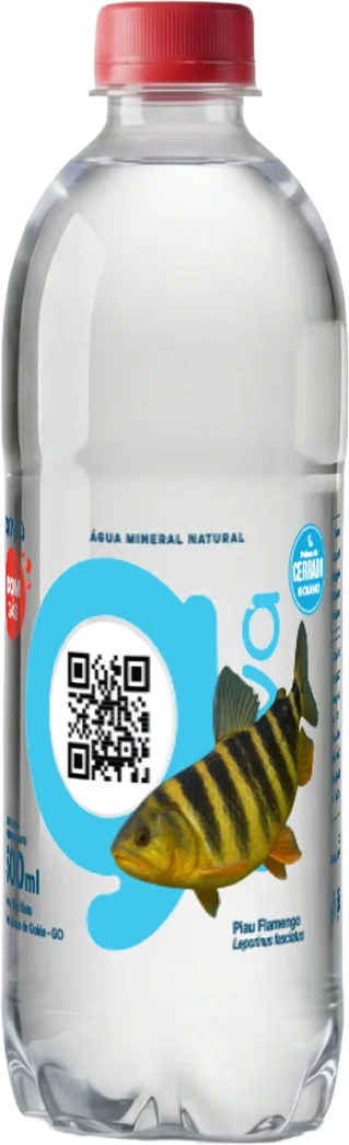 Garrafa Goyá 500ml, rótulo Piau-flamengo