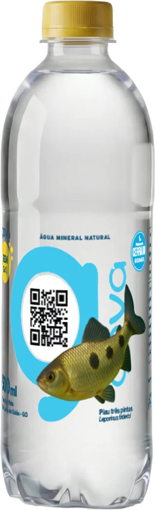 Garrafa Goyá 500ml, rótulo Piau três pintas