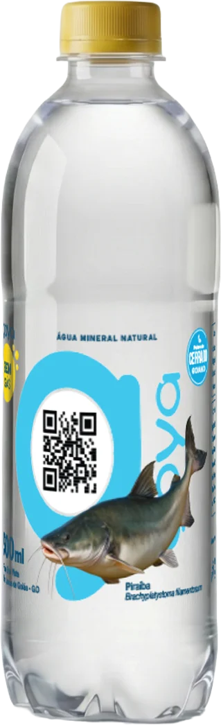 Garrafa Goyá 500ml, rótulo Piraíba