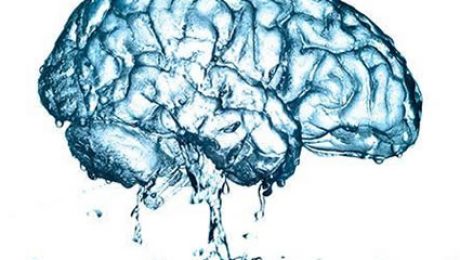 Falta de água pode encolher cérebro