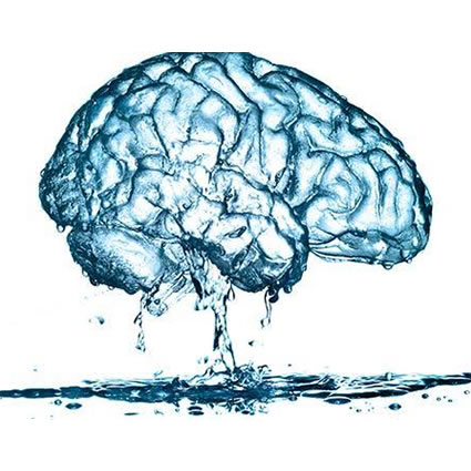 Falta de água pode encolher cérebro